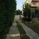 Vasili * Tríkala